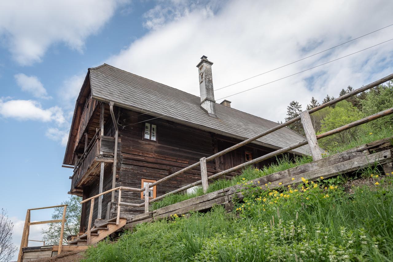 Willa Urlaub Auf Der Alm "Deluxe" Preggraben Zewnętrze zdjęcie