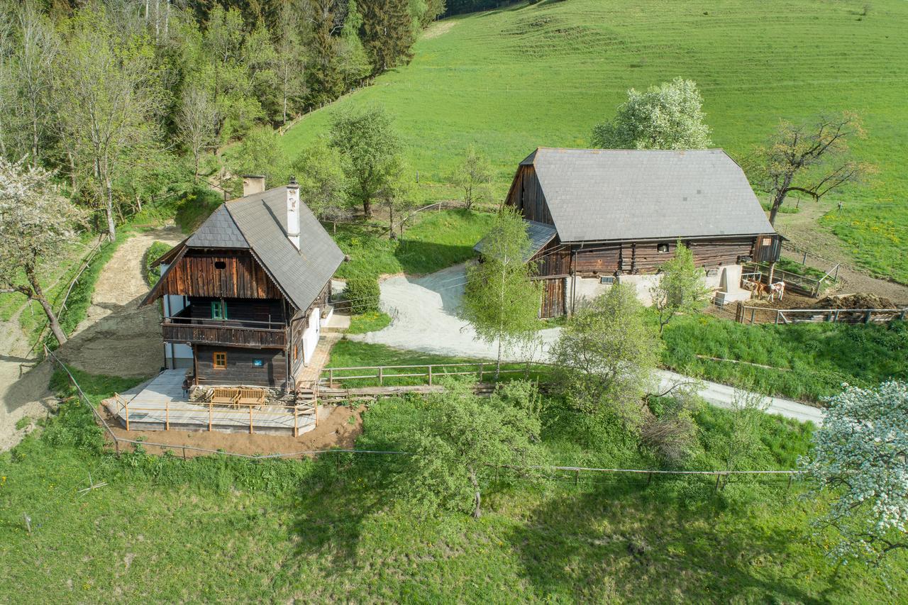 Willa Urlaub Auf Der Alm "Deluxe" Preggraben Zewnętrze zdjęcie