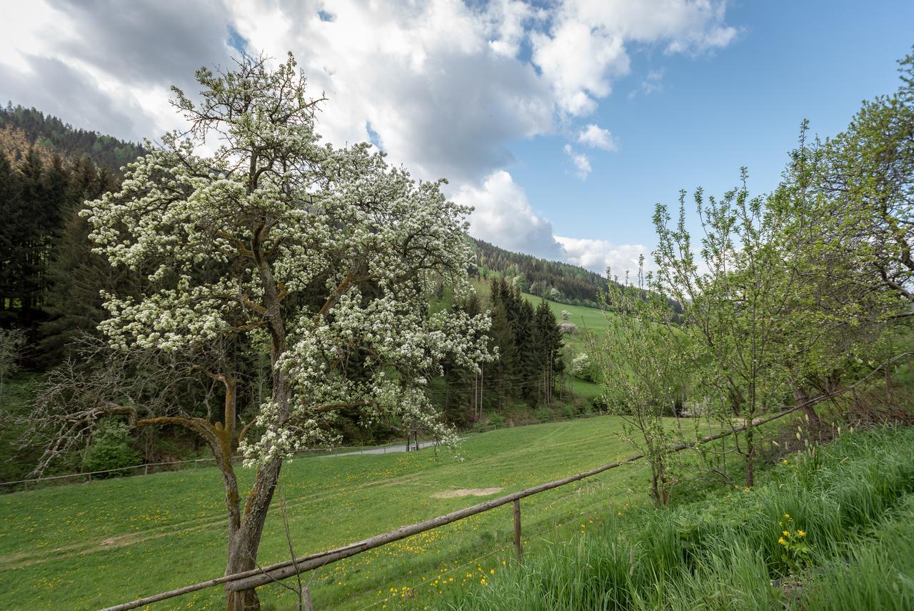 Willa Urlaub Auf Der Alm "Deluxe" Preggraben Zewnętrze zdjęcie