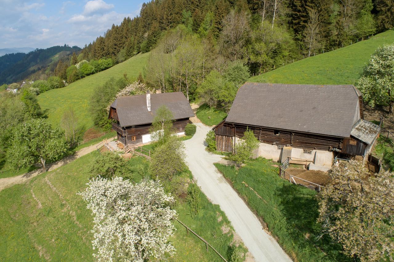 Willa Urlaub Auf Der Alm "Deluxe" Preggraben Zewnętrze zdjęcie