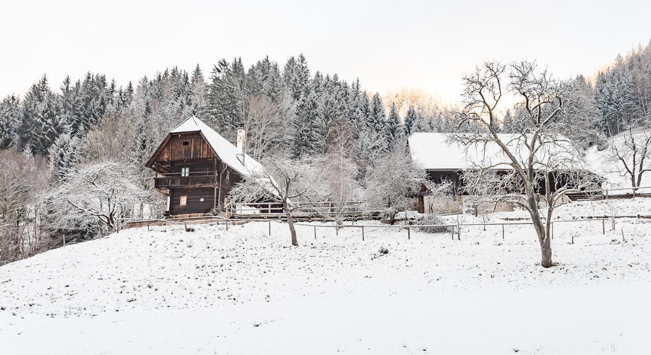 Willa Urlaub Auf Der Alm "Deluxe" Preggraben Zewnętrze zdjęcie